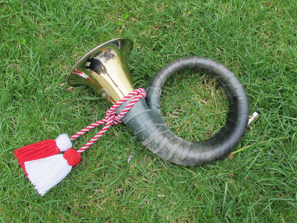 Fürst Pless Horn